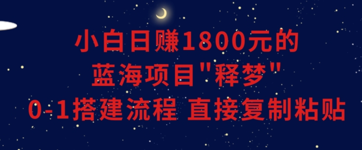 小白能日赚1800元的蓝海项目”释梦”0-1搭建流程可直接复制粘贴长期做【揭秘】-南青云资源库