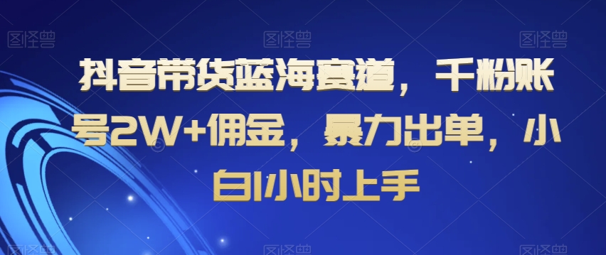 抖音带货蓝海赛道，千粉账号2W+佣金，暴力出单，小白1小时上手【揭秘】-南青云资源库