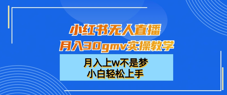 小红书无人直播月入30gmv实操教学，月入上w不是梦，小白轻松上手【揭秘】-南青云资源库