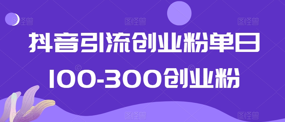 抖音引流创业粉单日100-300创业粉【揭秘】-南青云资源库