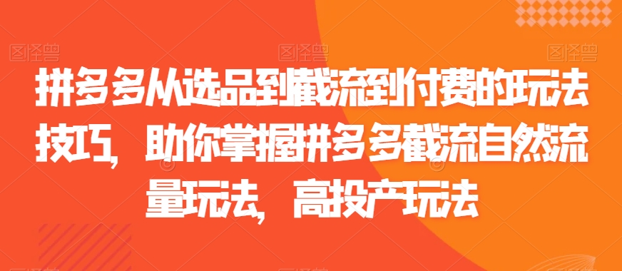 拼多多从选品到截流到付费的玩法技巧，助你掌握拼多多截流自然流量玩法，高投产玩法-南青云资源库
