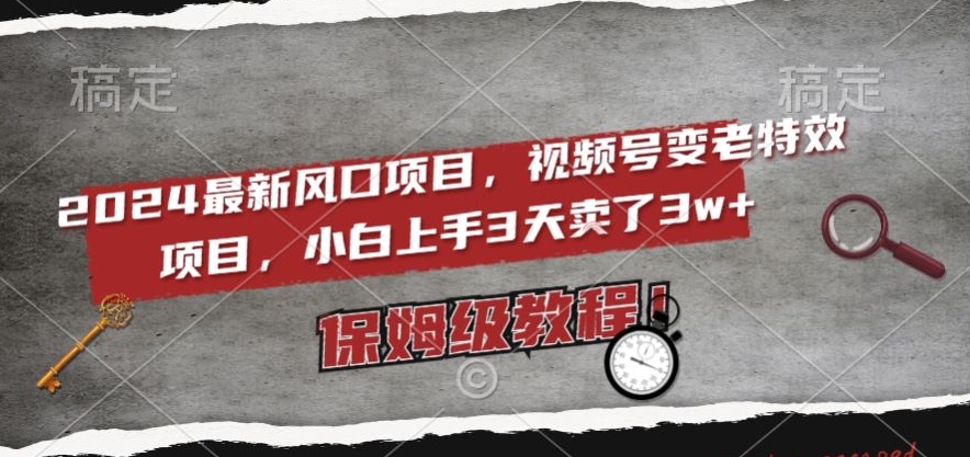 2024最新风口项目，视频号变老特效项目，电脑小白上手3天卖了3w+，保姆级教程【揭秘】-南青云资源库