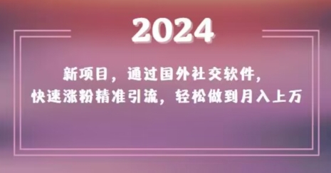 2024新项目，通过国外社交软件，快速涨粉精准引流，轻松做到月入上万【揭秘】-南青云资源库