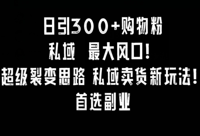 日引300+购物粉，超级裂变思路，私域卖货新玩法，小红书首选副业【揭秘】-南青云资源库