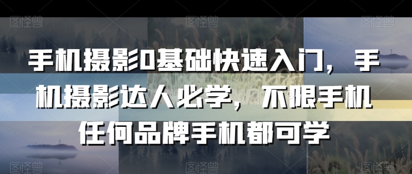 手机摄影0基础快速入门，手机摄影达人必学，不限手机任何品牌手机都可学-南青云资源库