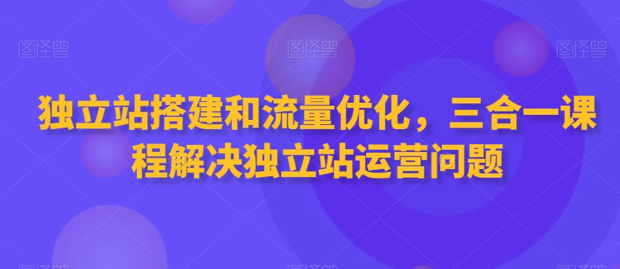 独立站搭建和流量优化，三合一课程解决独立站运营问题-南青云资源库