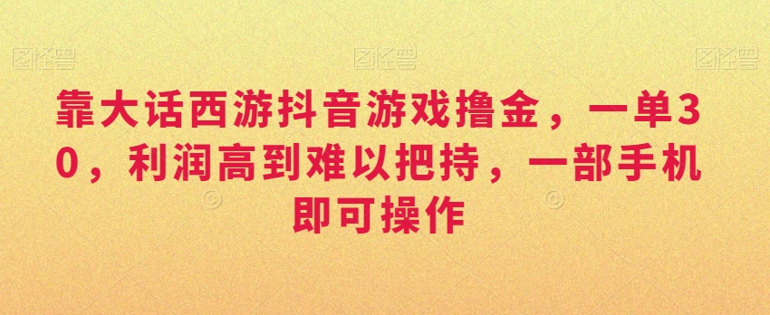 靠大话西游抖音游戏撸金，一单30，利润高到难以把持，一部手机即可操作，日入3000+【揭秘】-南青云资源库