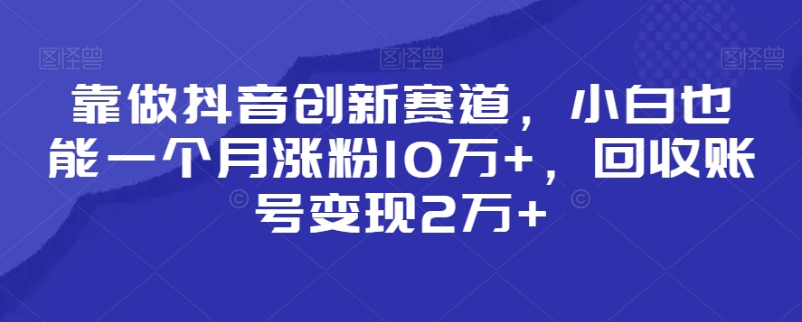 靠做抖音创新赛道，小白也能一个月涨粉10万+，回收账号变现2万+【揭秘】-南青云资源库
