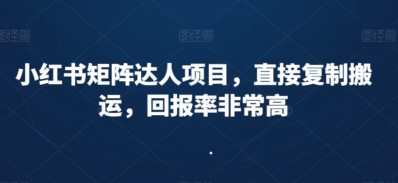 小红书矩阵达人项目，直接复制搬运，回报率非常高-南青云资源库