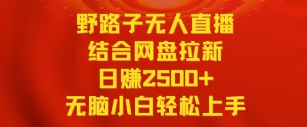 野路子无人直播结合网盘拉新，日赚2500+，小白无脑轻松上手【揭秘】-南青云资源库
