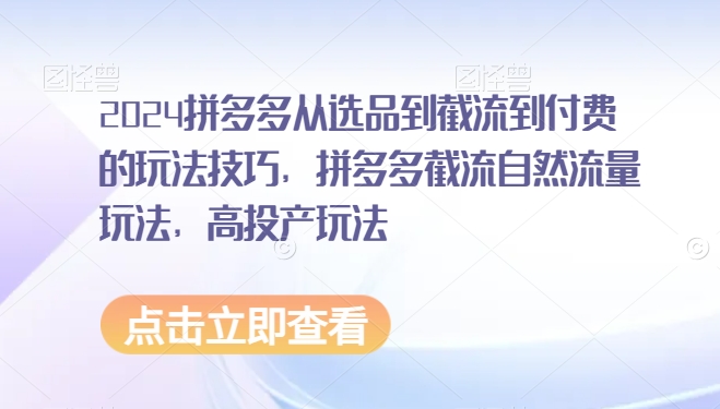 2024拼多多从选品到截流到付费的玩法技巧，拼多多截流自然流量玩法，高投产玩法-南青云资源库