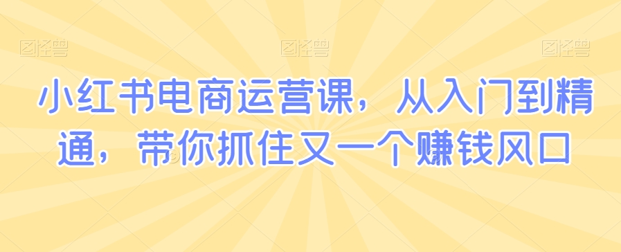 小红书电商运营课，从入门到精通，带你抓住又一个赚钱风口-南青云资源库