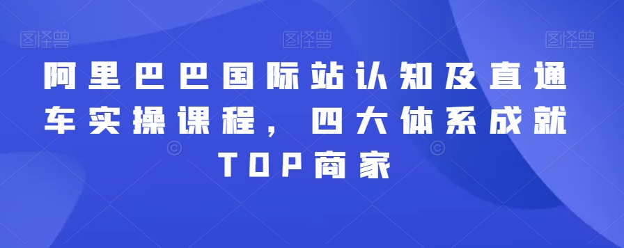 阿里巴巴国际站认知及直通车实操课程，四大体系成就TOP商家-南青云资源库