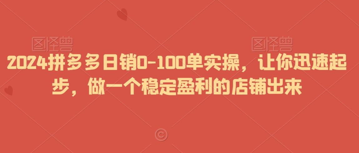2024拼多多日销0-100单实操，让你迅速起步，做一个稳定盈利的店铺出来-南青云资源库
