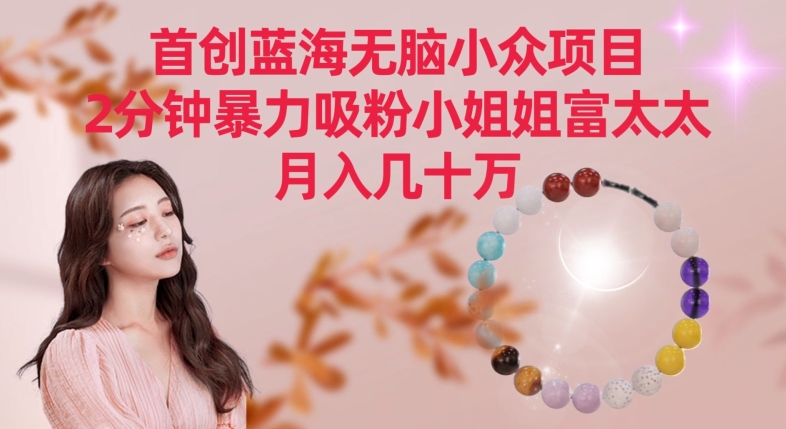 首创蓝海无脑小众项目，2分钟暴力吸粉小姐姐富太太，月入几十万【揭秘】-南青云资源库