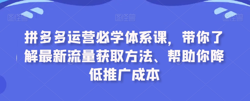 拼多多运营必学体系课，带你了解最新流量获取方法、帮助你降低推广成本-南青云资源库