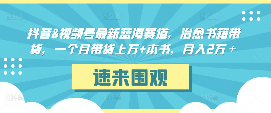抖音&视频号最新蓝海赛道，治愈书籍带货，一个月带货上万+本书，月入2万＋【揭秘】-南青云资源库