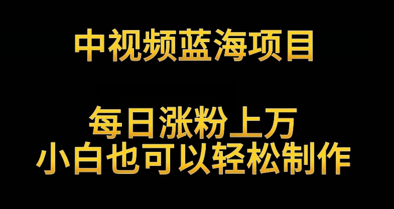 中视频蓝海项目，解读英雄人物生平，每日涨粉上万，小白也可以轻松制作，月入过万不是梦【揭秘】-南青云资源库