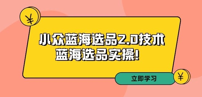 拼多多培训第33期：小众蓝海选品2.0技术-蓝海选品实操！-南青云资源库