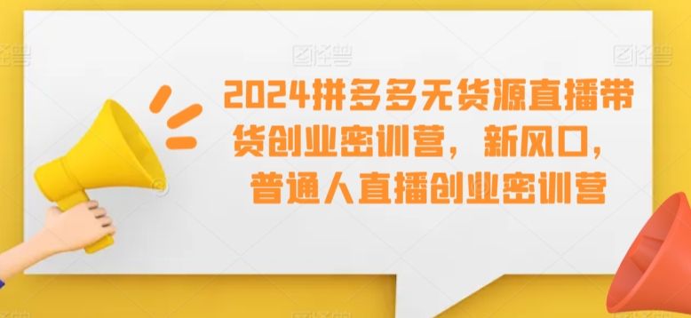 2024拼多多无货源直播带货创业密训营，新风口，普通人直播创业密训营-南青云资源库
