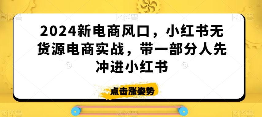 2024新电商风口，小红书无货源电商实战，带一部分人先冲进小红书-南青云资源库