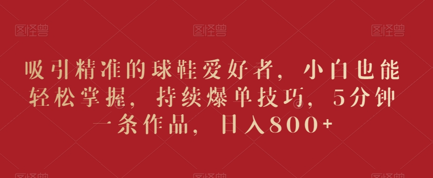 吸引精准的球鞋爱好者，小白也能轻松掌握，持续爆单技巧，5分钟一条作品，日入800+【揭秘】-南青云资源库