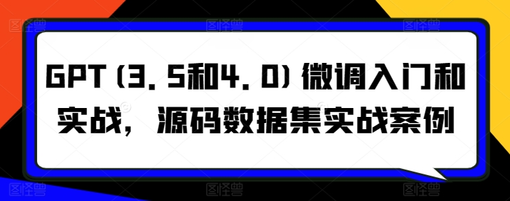 GPT(3.5和4.0)微调入门和实战，源码数据集实战案例-南青云资源库