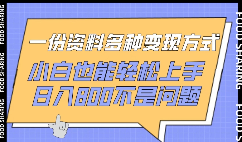 一份资料多种变现方式，小白也能轻松上手，日入800不是问题【揭秘】-南青云资源库
