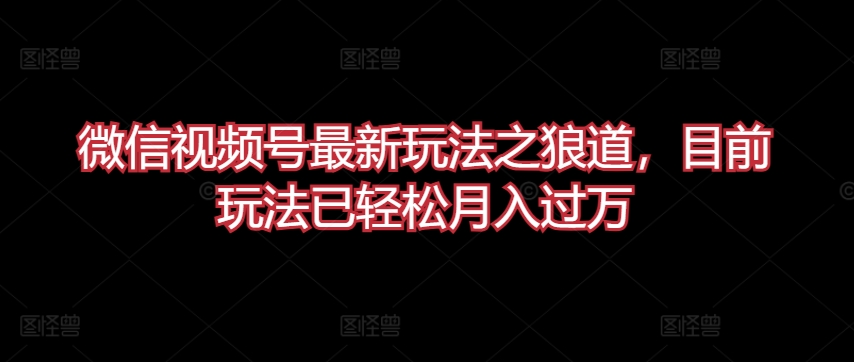 微信视频号最新玩法之狼道，目前玩法已轻松月入过万【揭秘】-南青云资源库