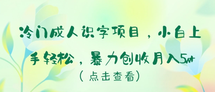 冷门成人识字项目，小白上手轻松，暴力创收月入5w+【揭秘】-南青云资源库