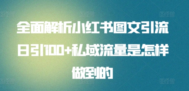 全面解析小红书图文引流日引100+私域流量是怎样做到的【揭秘】-南青云资源库