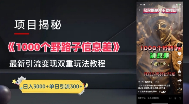 一千个野路子信息差最新玩法教程-变现+引流的玩法具体拆解【揭秘】-南青云资源库