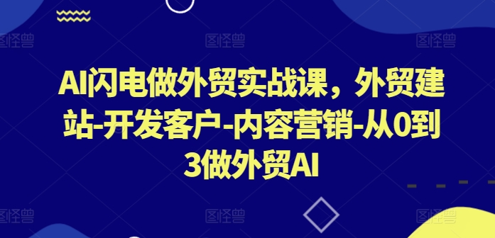 AI闪电做外贸实战课，​外贸建站-开发客户-内容营销-从0到3做外贸AI-南青云资源库