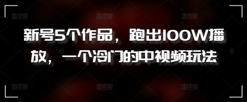 新号5个作品，跑出100W播放，一个冷门的中视频玩法【揭秘】-南青云资源库
