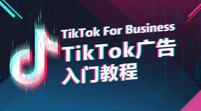TikTok广告入门教程，从0到1掌握TikTok投放的全流程-南青云资源库