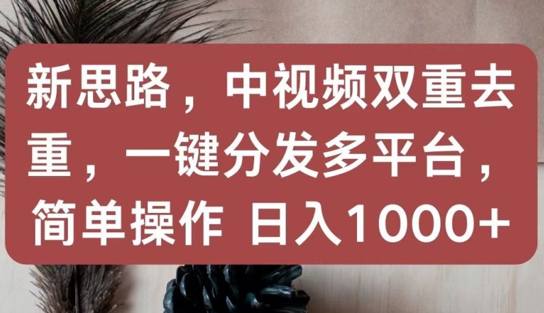 新思路，中视频双重去重，一键分发多平台，简单操作，日入1000+【揭秘】-南青云资源库