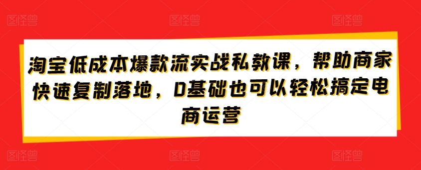 淘宝低成本爆款流实战私教课，帮助商家快速复制落地，0基础也可以轻松搞定电商运营-南青云资源库
