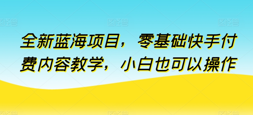 全新蓝海项目，零基础快手付费内容教学，小白也可以操作【揭秘】-南青云资源库