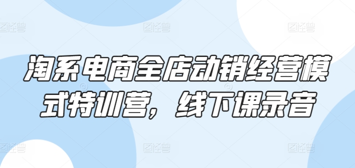 淘系电商全店动销经营模式特训营，线下课录音-南青云资源库