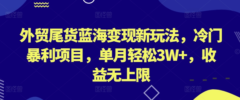 外贸尾货蓝海变现新玩法，冷门暴利项目，单月轻松3W+，收益无上限【揭秘】-南青云资源库