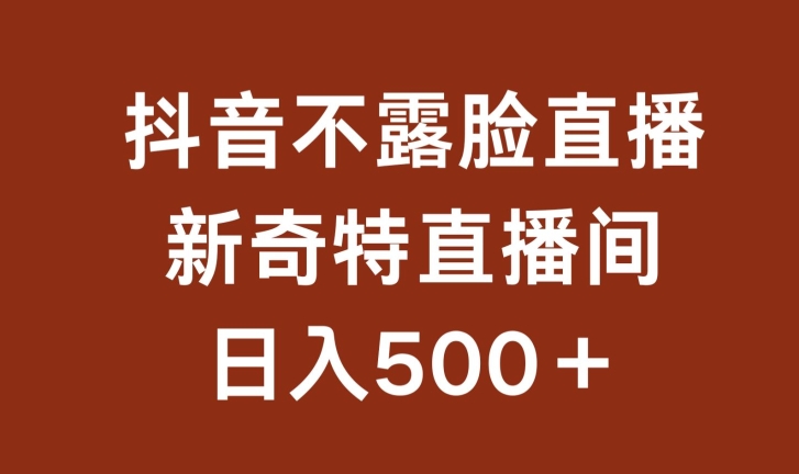 不露脸挂机直播，新奇特直播间，日入500+【揭秘】-南青云资源库