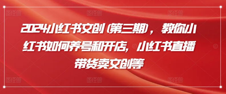 2024小红书文创(第三期)，教你小红书如何养号和开店，小红书直播带货卖文创等-南青云资源库