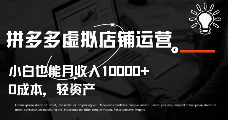 拼多多虚拟店铺运营小白也能月收入10000+【揭秘】-南青云资源库
