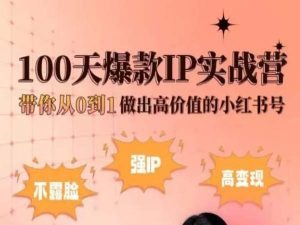 小红书100天爆款IP实战营，带你从0到1做出高价值的小红书号-南青云资源库