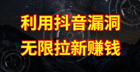 利用抖音链接漏洞，无限拉新赚钱【漏洞原理+操作流程】【揭秘】-南青云资源库