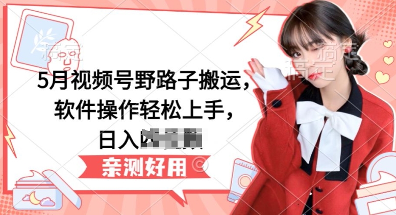 5月视频号野路子搬运，软件操作轻松上手，日入三位数【揭秘】-南青云资源库