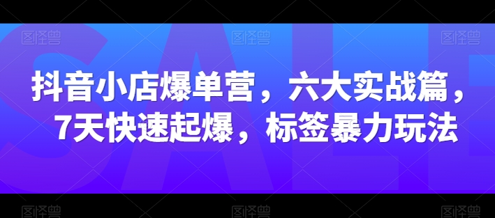 抖音小店爆单营，六大实战篇，7天快速起爆，标签暴力玩法-南青云资源库