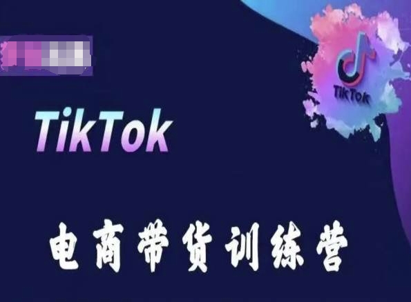 TikTok电商带货训练营，跟随时代潮流，跨境掘金-南青云资源库
