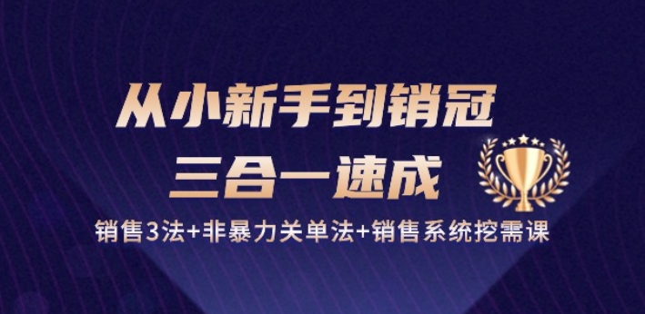 从小新手到销冠 三合一速成：销售3法+非暴力关单法+销售系统挖需课 (27节)-南青云资源库