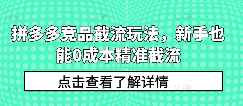 拼多多竞品截流玩法，新手也能0成本精准截流-南青云资源库